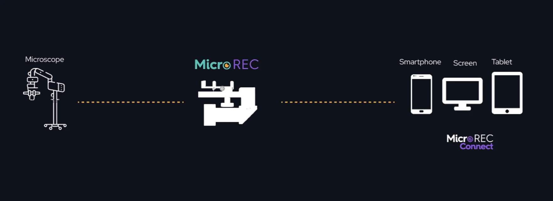 The MicroREC workflow